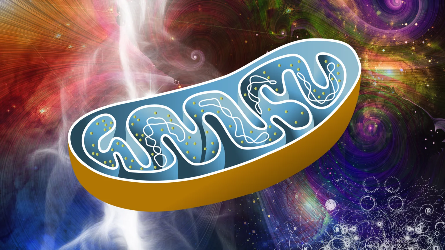 Cutaway illustration of a mitochondrion against a colorful cosmic background