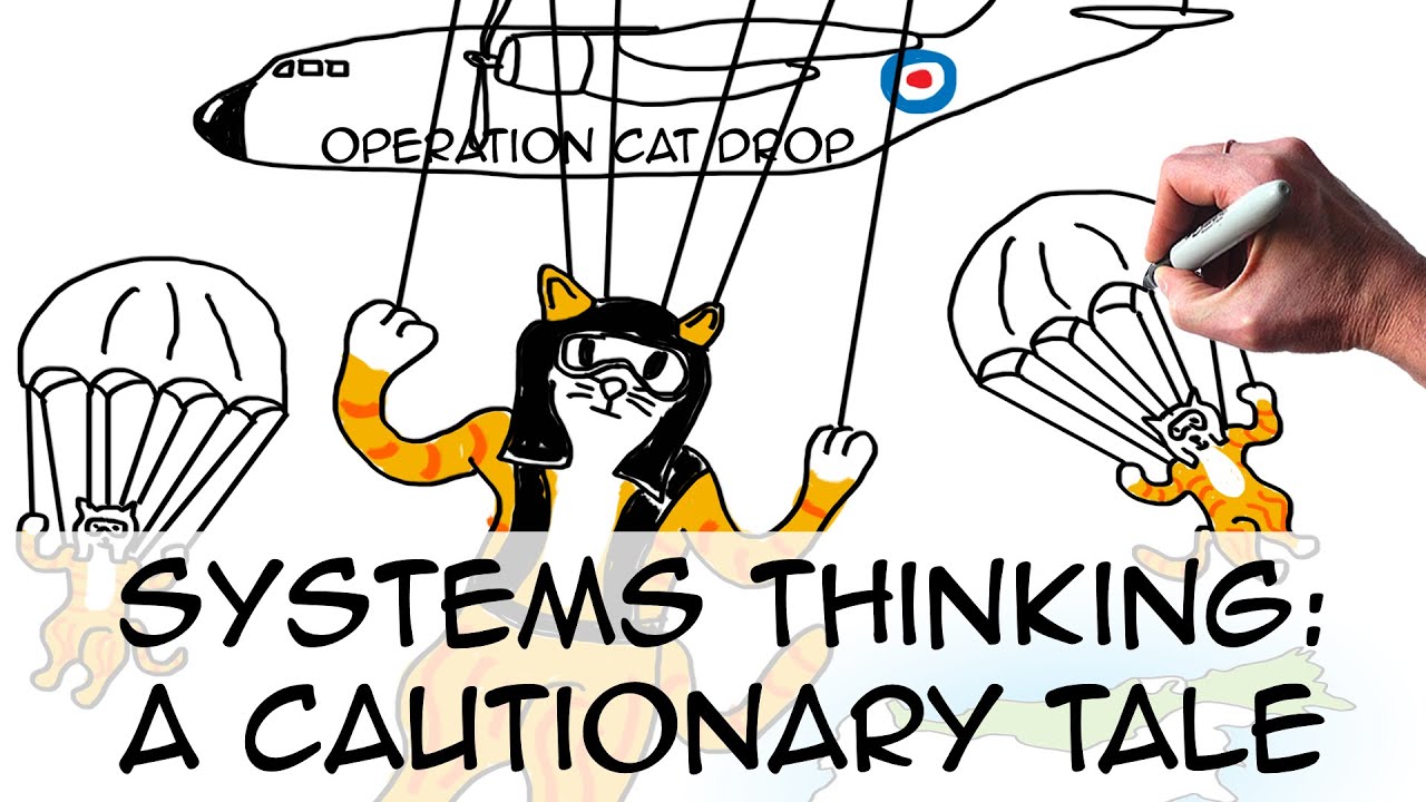 Marker drawing of cats in goggles parachuting from a plane marked Operation Cat Drop