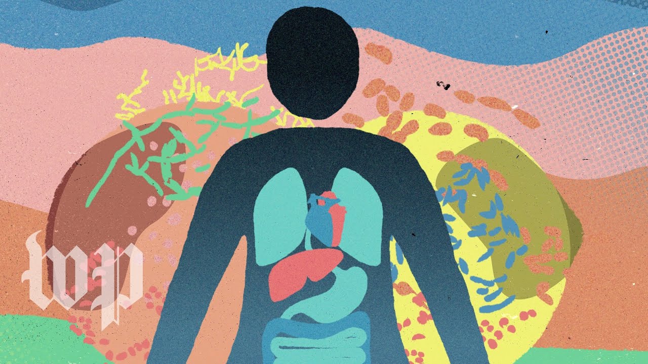 Cut-paper drawing of a person seen from behind, lungs, heart and gut showing through, against a pink and yellow background crowded with rod-shaped and branching microbes
