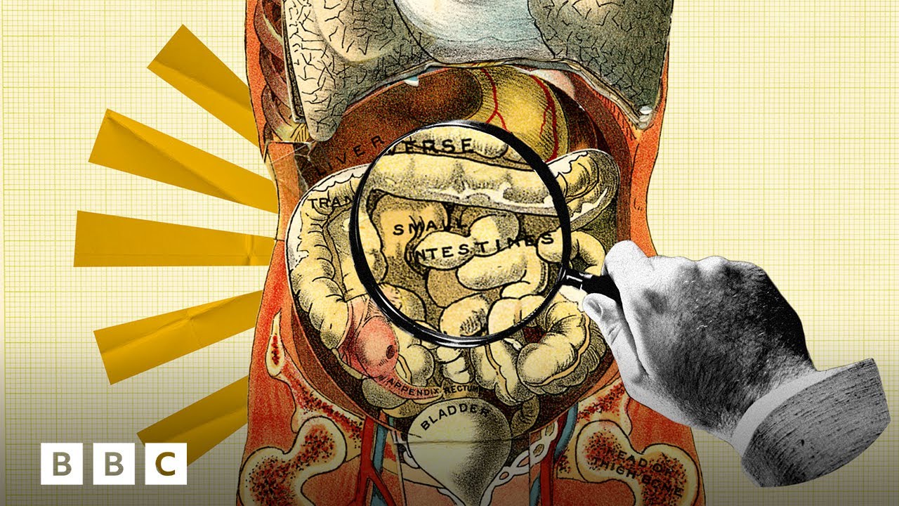 Collage of an old anatomy drawing of the belly, coiled intestines labeled small intestines, under a magnifying glass held by a black-and-white hand, against yellow graph paper
