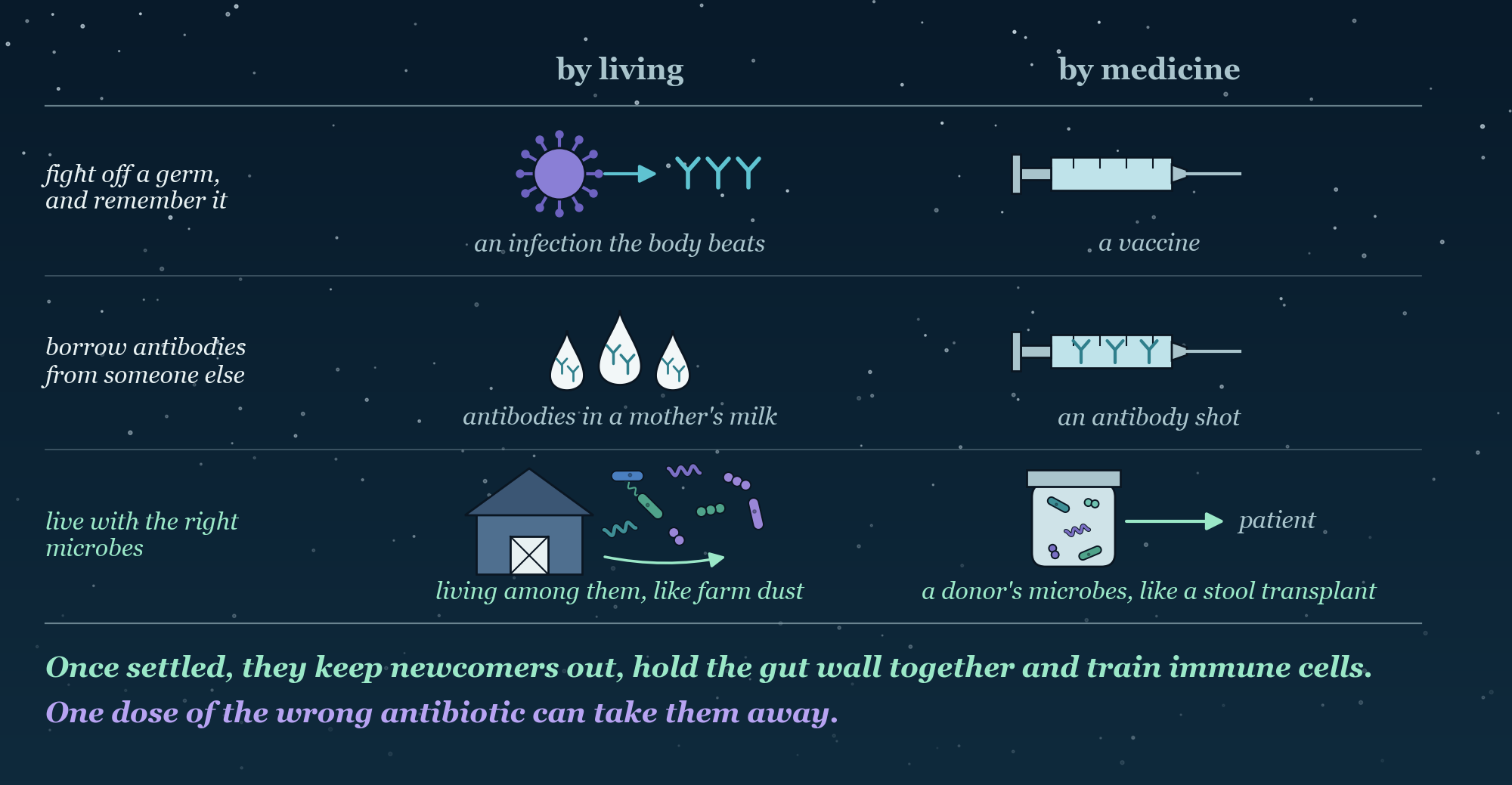 Two columns, by living and by medicine, and three rows of ways to gain protection after birth. Row one: an infection the body beats, and a vaccine. Row two: antibodies in a mother’s milk, and an antibody shot. Row three, in mint green: microbes drifting from a barn as farm dust, and a jar of a donor’s microbes passed to a patient. Beneath: once settled, the microbes keep newcomers out, hold the gut wall together and train immune cells, and one dose of the wrong antibiotic can take them away