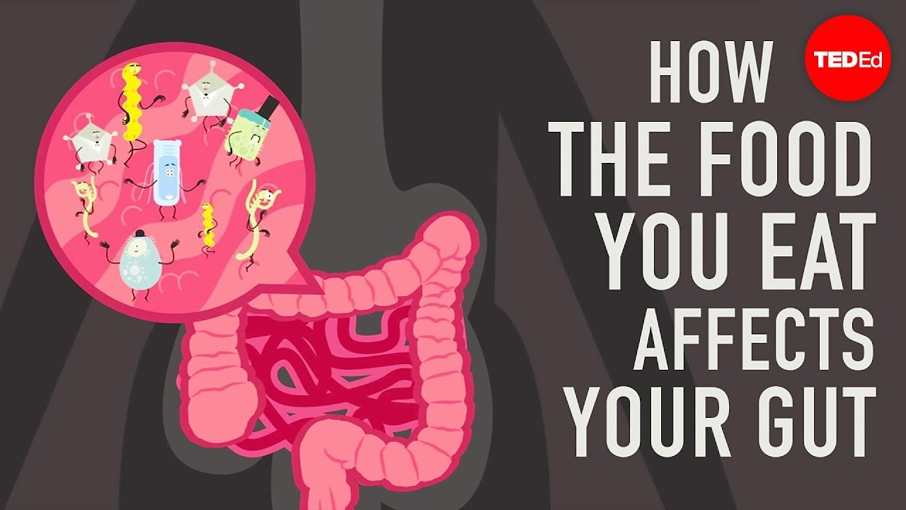 Cartoon of a pink coiled gut with a bubble showing smiling bacteria of many shapes, beside the title How the food you eat affects your gut